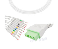 A4036-EE1 Nihon Kohden Kompatibel EKG Kabel 12-pin Nihon Kohden Connectorr AHA Banana